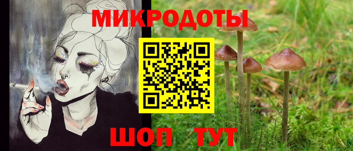 Псилоцибиновые грибы MAGIC MUSHROOMS Звенигород