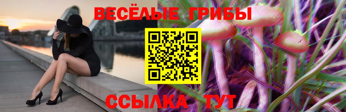 Звенигород  Галлюциногенные грибы Magic Shrooms  Вход с VPN  Галлюциногенные грибы MAGIC MUSHROOMS 